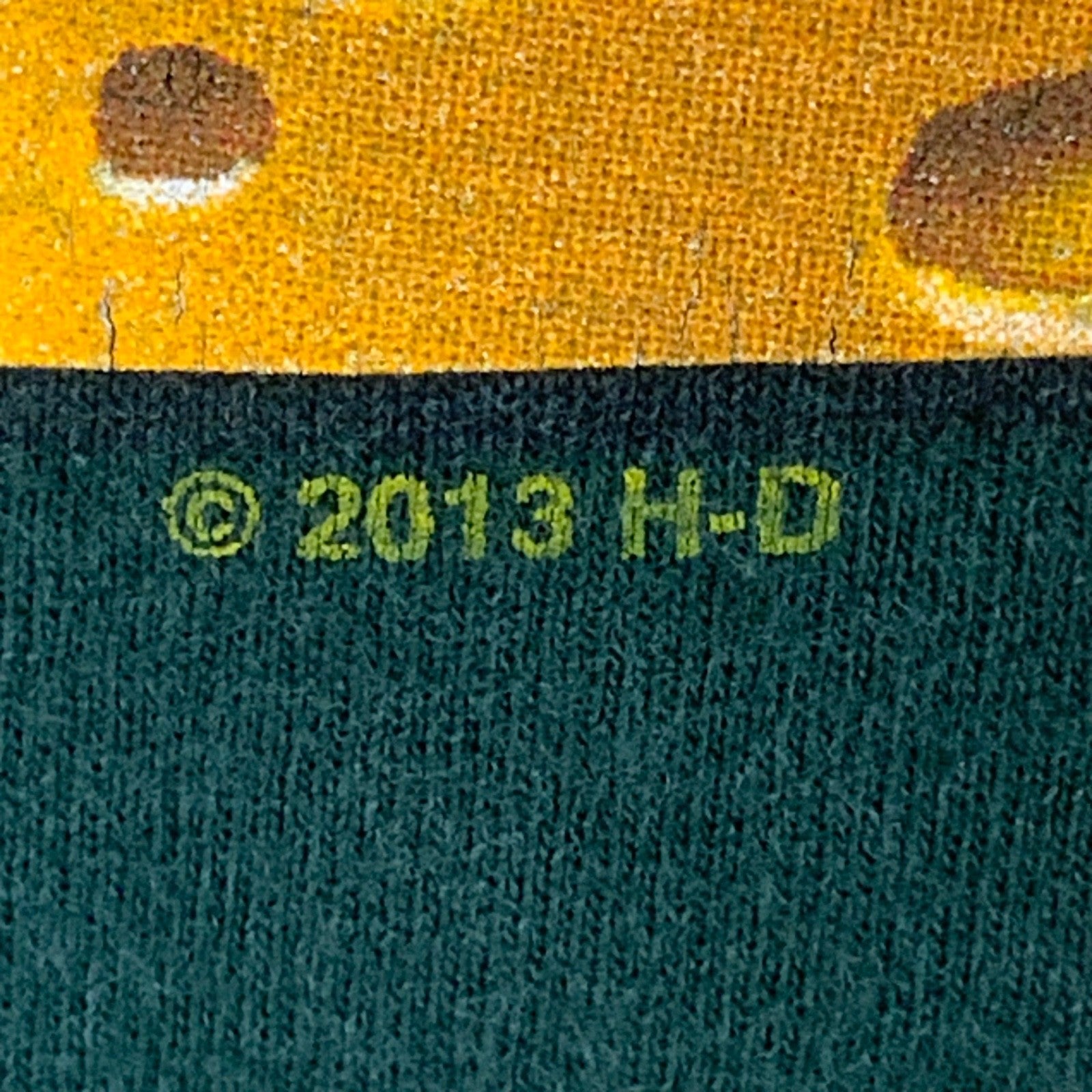 Harley Davidson T-Shirt XL Cheeseheads Green Bay Wisconsin Double Sided