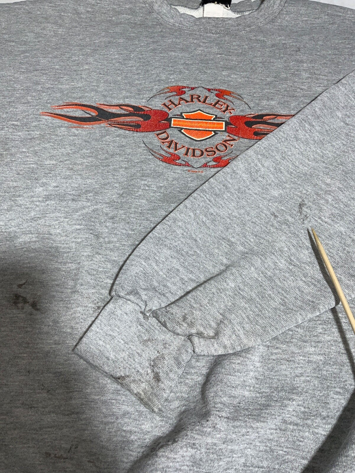 Vintage Harley Davidson Sweatshirt Crewneck 2XL Gray Y2K Twin Cities Minnesota