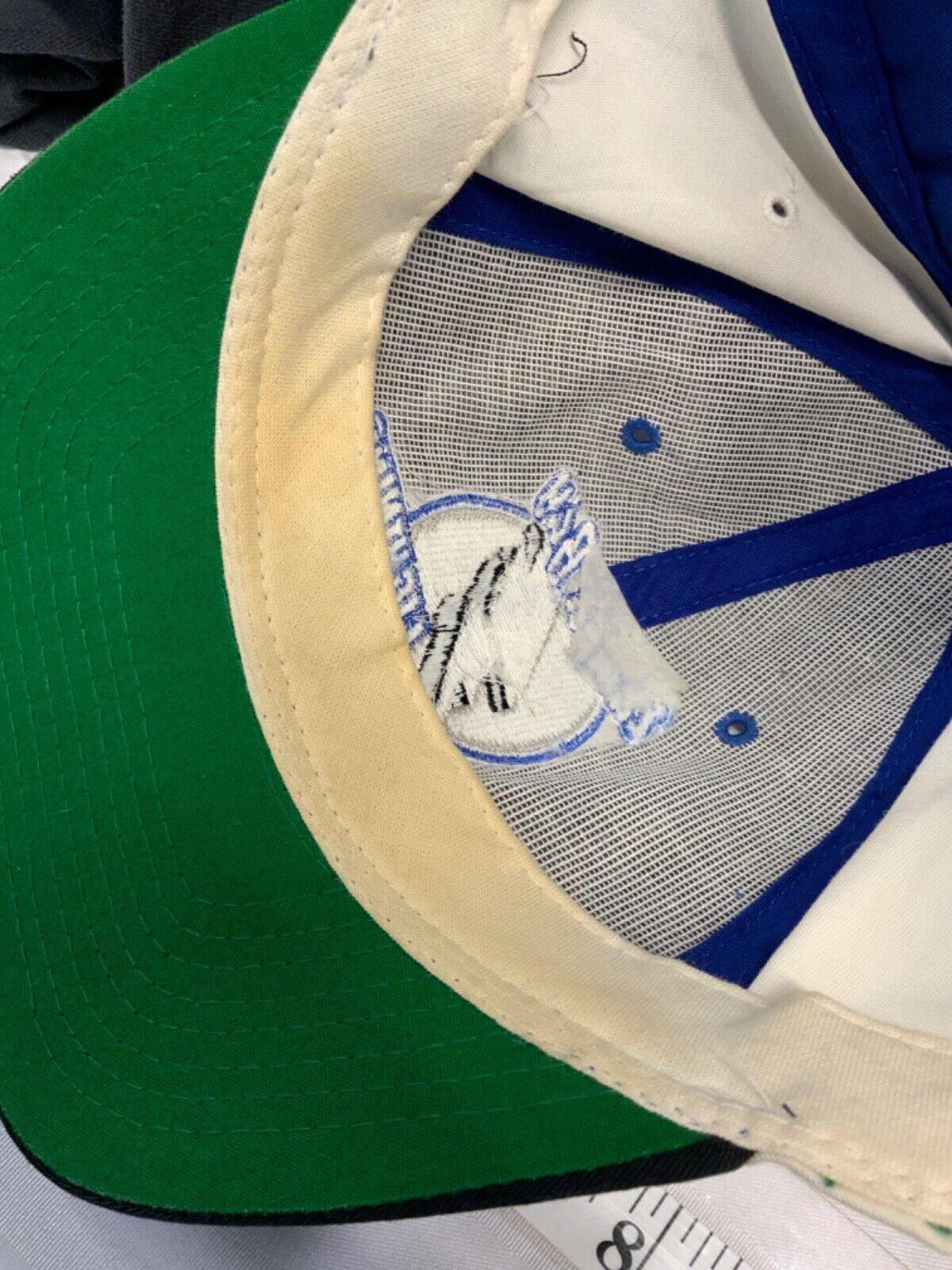 Vintage Tampa Bay Lightning Starter Snapback Hat Cap Nhl Hockey 90s