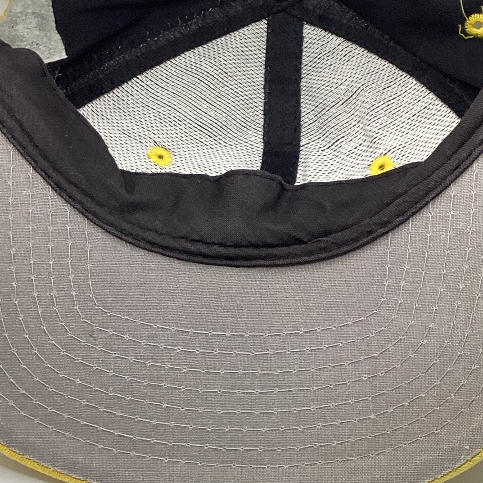 Vintage Pittsburg Penguins Looney Tunes SnapBack Hat Cap Adjustable Nhl