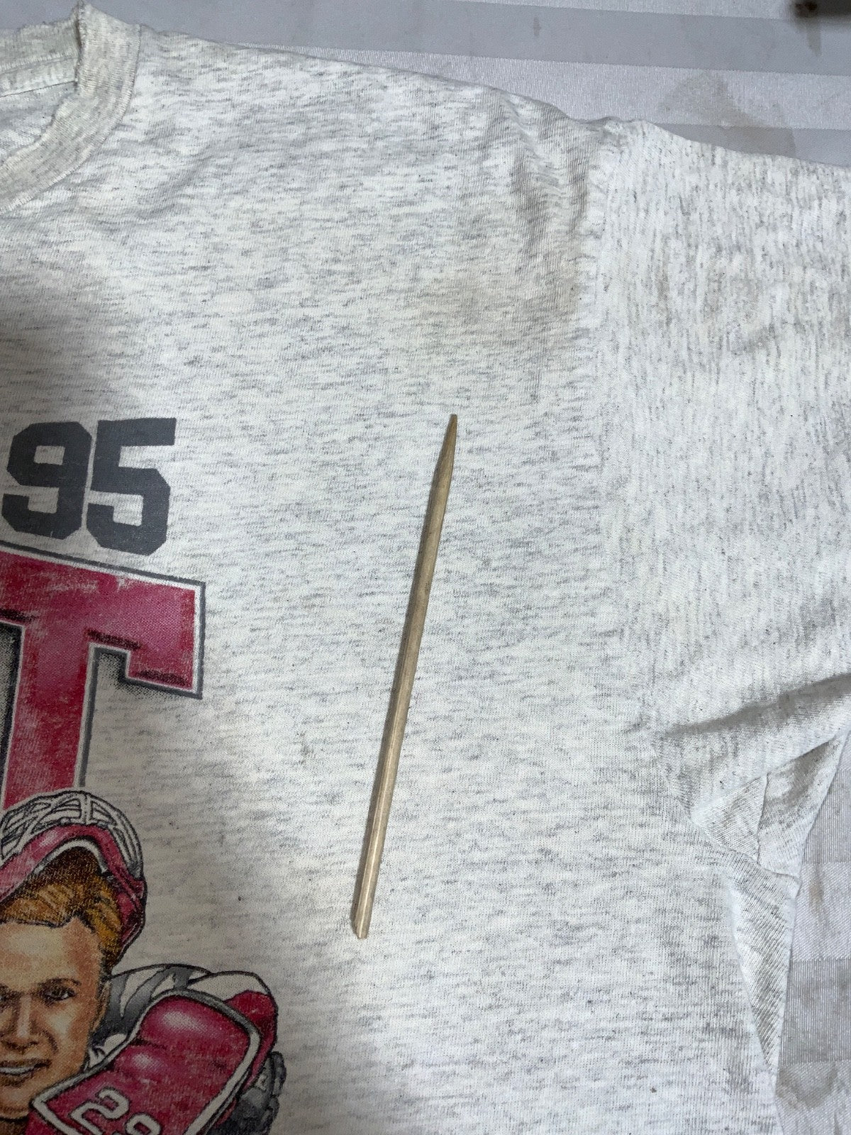 Vintage Detroit Red Wings Caricature T-Shirt XL Delta Nhl 1995 West Champs 90s