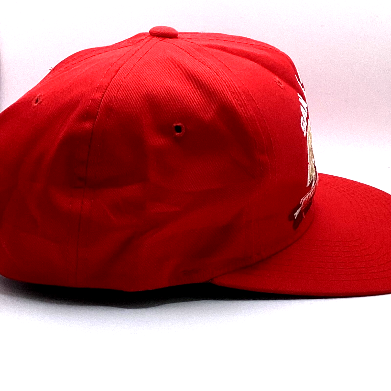Vintage San Francisco 49ers Starter Arch SnapBack Hat Cap Adjustable Nfl