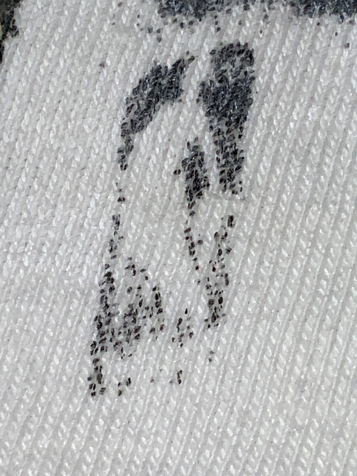 Y2K Lebron James T-Shirt XL White Tee Tree Grunge All Over Print Basketball