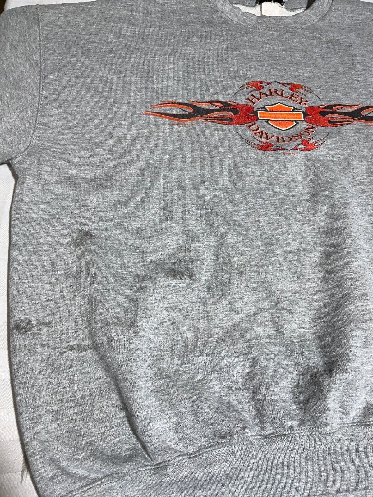 Vintage Harley Davidson Sweatshirt Crewneck 2XL Gray Y2K Twin Cities Minnesota