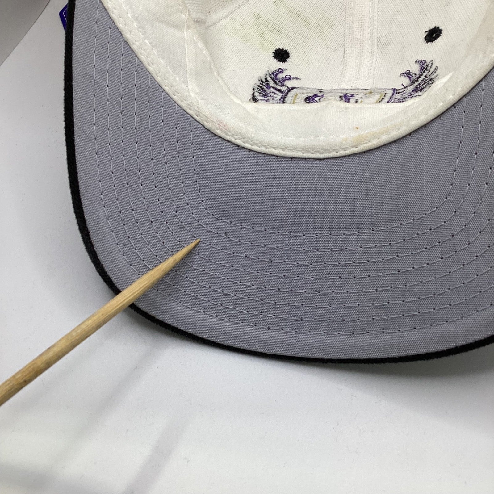 Vintage Starter Baltimore Ravens Autographed SnapBack Hat Cap Adjustable Nfl