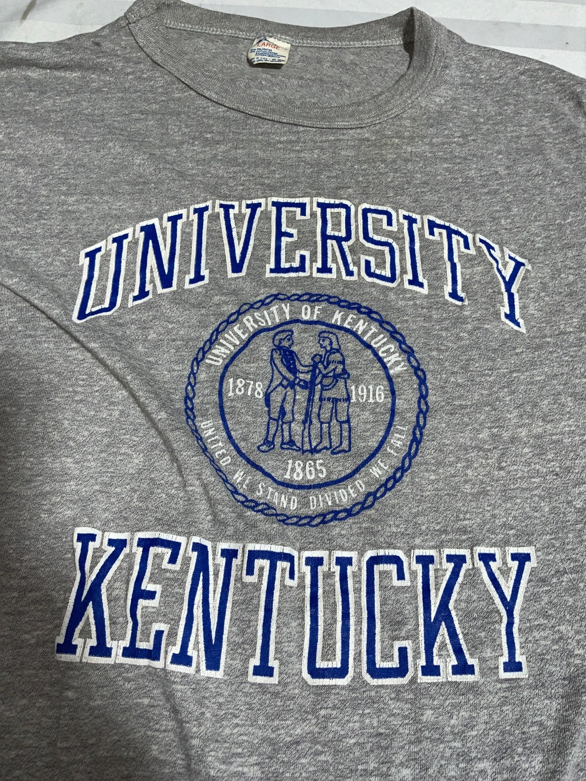 Vintage University Of Kentucky Champion T-Shirt Large Single Stitch Ncaa 80s